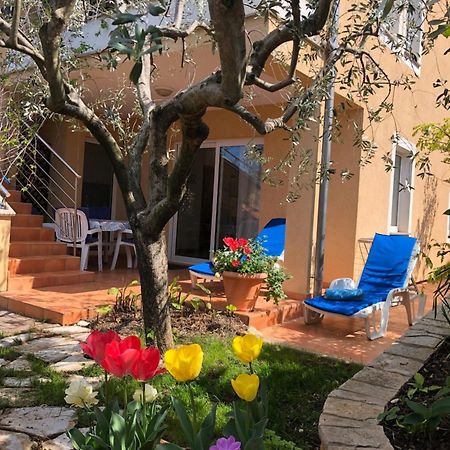 Villa Alexandra 4 Pjescana Uvala Ngoại thất bức ảnh
